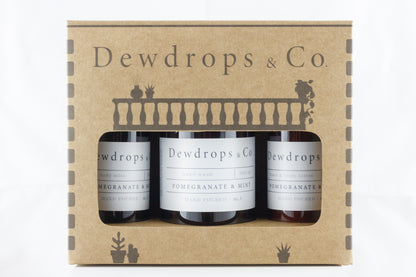 Vanity Gift Set