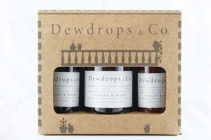 Vanity Gift Set